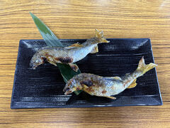 美濃観光ヤナ　鮎づくし　活鮎塩焼き2匹

私的に塩焼きが最高　しかも2匹