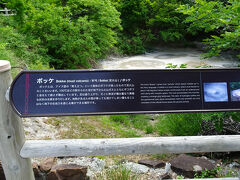 次は、ボッケですね。