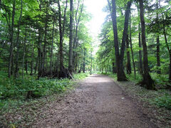 そろそろ探勝路も終わりが見えてきました。本日の夜は、カムイルミナでここを巡るので、とっても楽しみです。