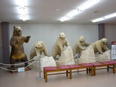 まずは白くまのはく製。
でかいな。

襲われたらまず勝ち目はない。