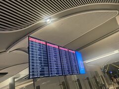 予定より30分早くイスタンブールに着きました。乗り継ぎ時間が短いのでさくっと荷物検査をして搭乗口へ。