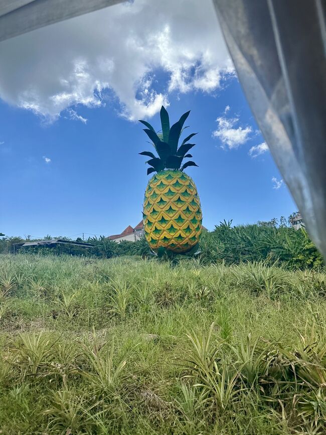 いろんなとこで写真撮られて<br />「気にいったらあとで買ってね方式」<br />買わなかったけど。。。<br />楽しそうに写るわれら。<br />今となっては買えばよかった(またいく)