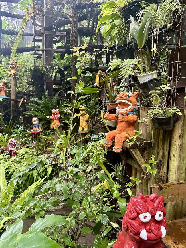 雨でも安心だし<br />乗り物移動で楽ちん。<br /><br />今年は富士山登山で<br />エネルギーを使いはたしたので<br />できるだけ歩かないよう心がけてます。