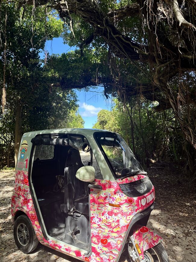 電動だしスクーターより安全。<br />島内は10キロで走るようにって(おっそ)<br />もちろん要普通免許だよ。