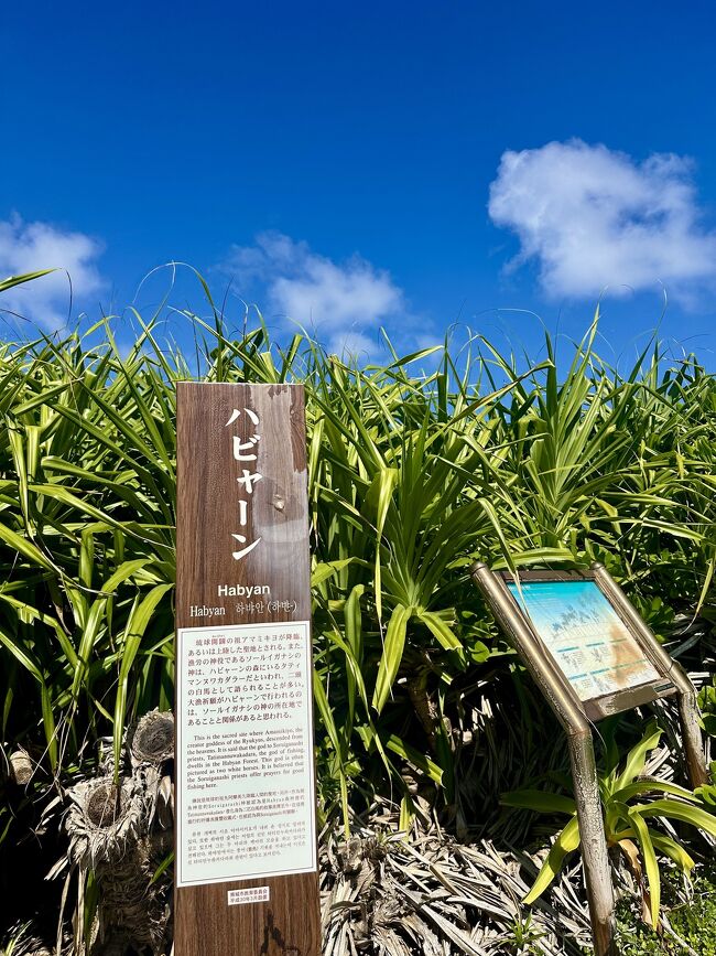 ハ、ハビャーンって(笑)←わらうな