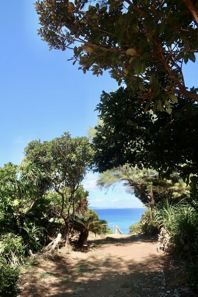 青すぎて。。。