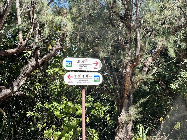 ミガー→<br />←イザイガー<br /><br />さとぴガー<br />運転交代したいガー<br />オットガー拒否。<br />イヤイヤ期でしょうか。<br />