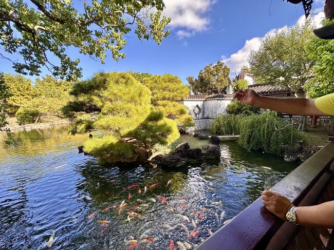 大好きなんですよ。<br />子どもか。<br />いや、ジジィか。