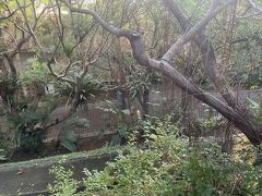 おはようございます。今日もいい天気です