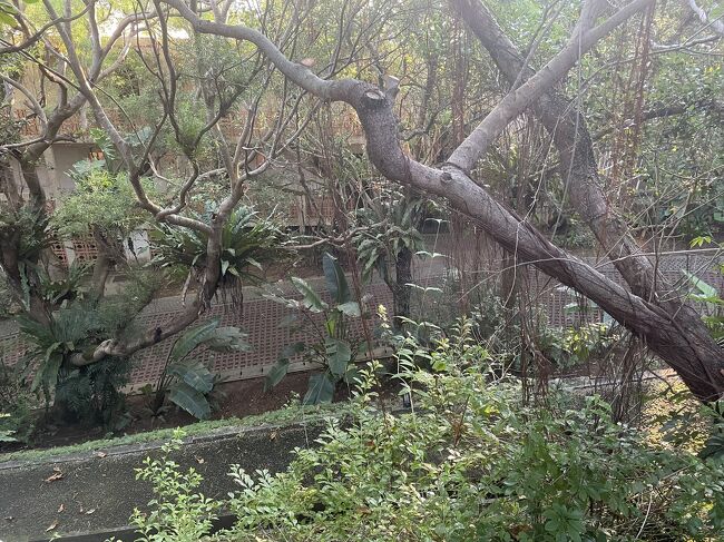 おはようございます。今日もいい天気です