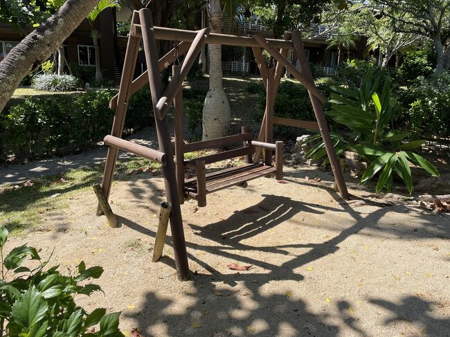 カメのお家の隣りにはブランコ。