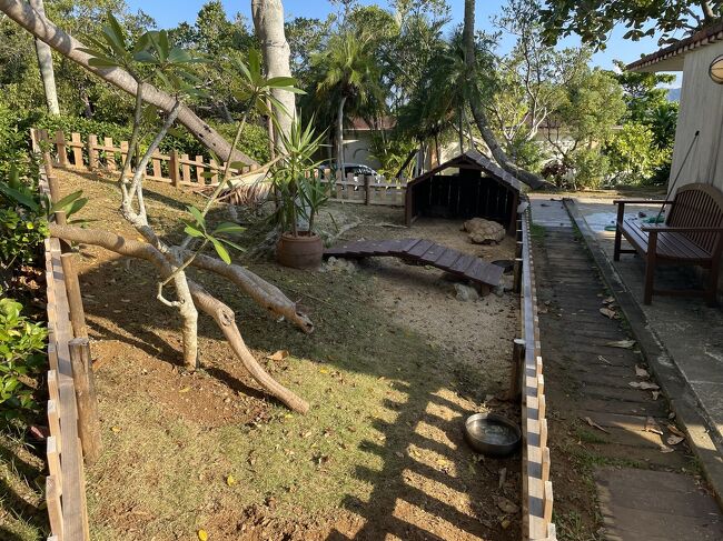 カメのお家があるよ