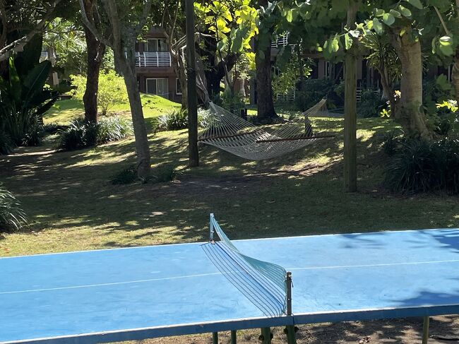 卓球台やハンモックもあります