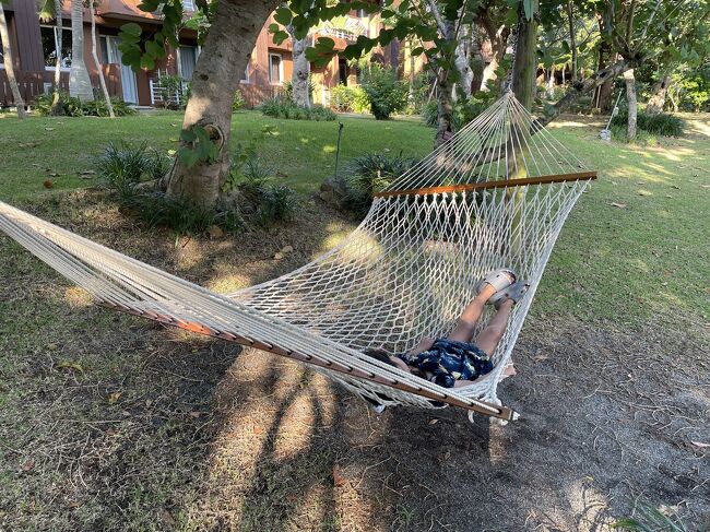 しばらく、ハンモックやブランコで遊びました