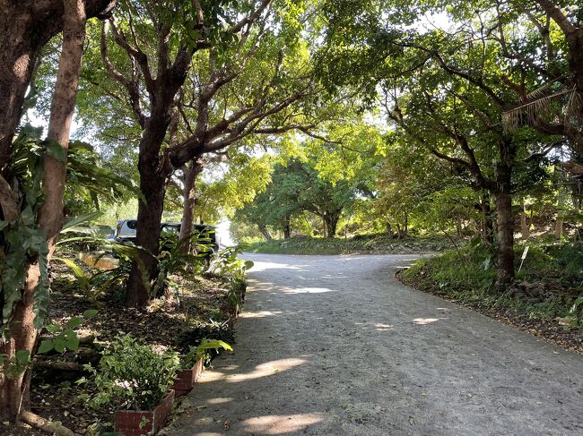 道もきれいで歩きやすいので散策するのも楽しいです。でも今日は暑かった。真夏は無理かも。