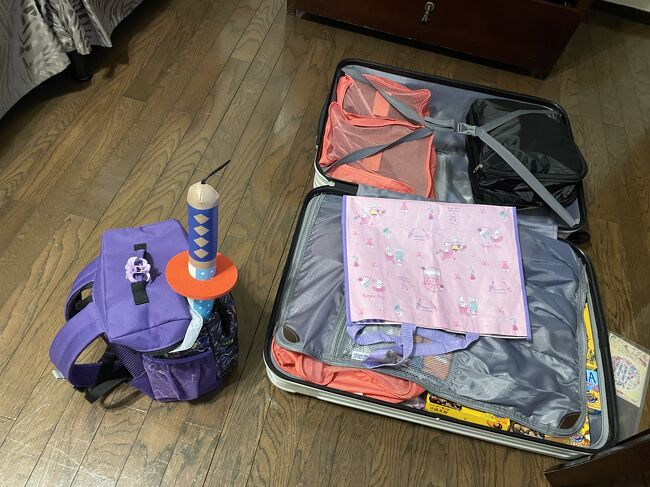 その後、帰る準備をしました。洗濯機で水着も洗えて乾燥までできたのでよかったです。持ってくる荷物も少なくて済むし、部屋に洗濯乾燥機があるのは最強だわ