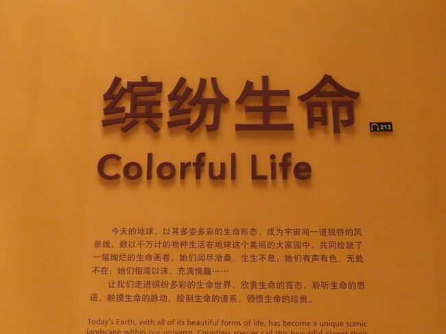 最初の２文字は、日本で使われている漢字だと繽紛、「落英繽紛（らくえいひんぷん）」という難しい４文字熟語くらいしかもうお目にかかることもない熟語ですが「美しいものが乱れ飛ぶ様子」という意味です。<br /><br />