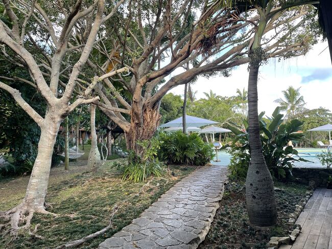 おはようございます。沖縄旅行7日目。最終日もいい天気です。