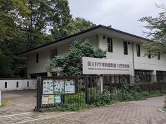 東京都庭園美術館から隣の自然教育園へ移動