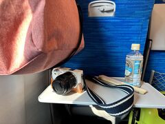 飛行機旅が好きな私は新幹線は不慣れ