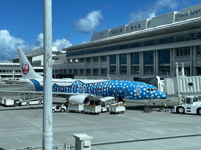 僕ちゃんの好きな青色のジンベイジェットで帰ります。<br />帰りの飛行機では、ずっと寝てくれました。<br />楽しい沖縄旅行、また来年ねー