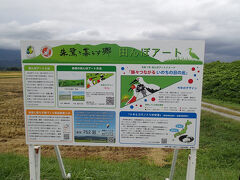 田んぼアート。