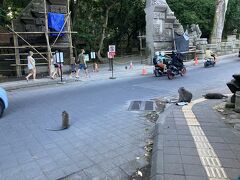 モンキーフォレスト周辺にておさるさん発見。