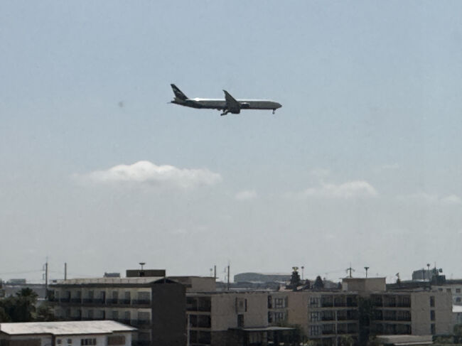 空港近くということで離着陸の航空機を見ることができました。