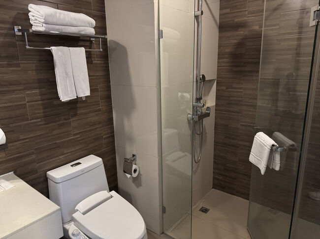 手動簡易シャワー付きトイレ、シャワールーム。