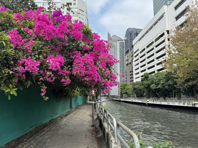 花で癒されます。