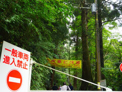 ここからが登山道。
高尾山には登山道がいくつもあっていろんなルートを楽しめる、というイメージがあったんですが、登りはこの1号路がメジャーで基本ここからスタートするみたいです。
他にある登りの6号路は初心者向けではなさそうだし、ここ以外の他の山を通って高尾山まで来るルートもあるようです。