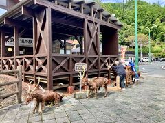 【道の駅やまくに】
遠くから見たら本物かと思ってドキッとしました。かかし？