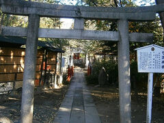 弁天池の中のある、七渡神社。
御祭神は市杵島姫命で、富岡八幡宮が創建される前からお祀りされていたと云われています。
地元では七渡弁天と親しまれ、美と芸術、財運の神様です。

