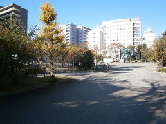 深川不動尊の西に隣接する深川公園。

