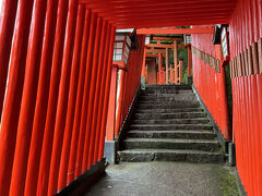 殿町通りを南下して太皷谷稲成神社へ
午前中に行った元乃隅神社と並んで鳥居シリーズ
途中まで登るも力尽きて神社を見ることもなくギブアップ…