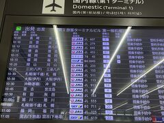 　11：00発福岡行きJAL315便。定時運航がモットーのJALですから、できるだけ遅れないようおねがいしますよ。