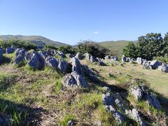 秋吉台のカルストです。秋風がとても気持ちよくて、最高でした。