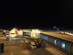 その後は、従兄弟宅で休憩。
松山空港のスカイデッキでしばらく飛行機を眺めました。
写真は遅延していた羽田発の便。