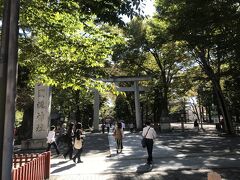 大国魂神社の参道

ここの神社も全然知らなかった