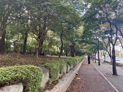 11：00　釜山最大のダイソーへ向かいます。
韓国ダイソー大好きすぎる。