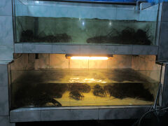 入り口に生簀のある、ガネーシャカフェです。