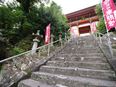 徳川家御三家のひとつ紀州だけあり、市内には東照宮もあります。
和歌浦にあり、中心からは少し離れていますが、行く価値はありました。