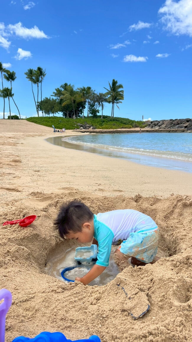 目の前のビーチで遊んで～