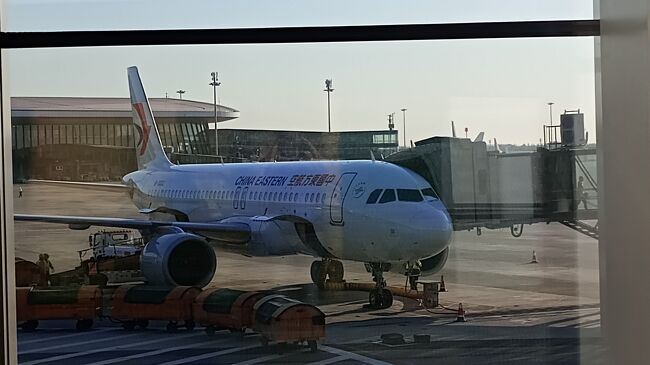 機材はエアバスA320だったがこの機材もシートピッチは狭かった。どうもピッチが長めなのはA321の様です。<br />5時間少々のフライトで北京に無事に到着。<br />北京大興国際空港(Beijing Daxing International)<br />