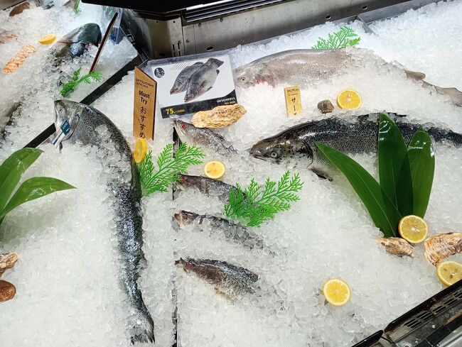 鮭の種類が色々あり鮭が食べたくなった