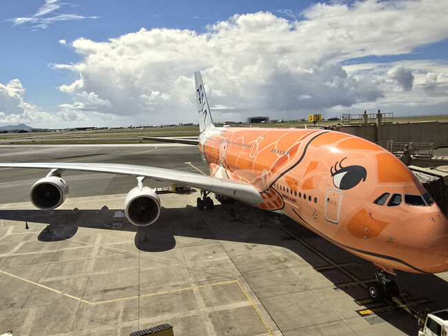 NH-183<br />ホノルル発→→→成田行<br />飛行機は→{フライングホヌ}<br />往路は→オレンジの“ラーちゃん”です。<br />※オレンジ色は→ハワイのサンセットをあらわしているそうです。