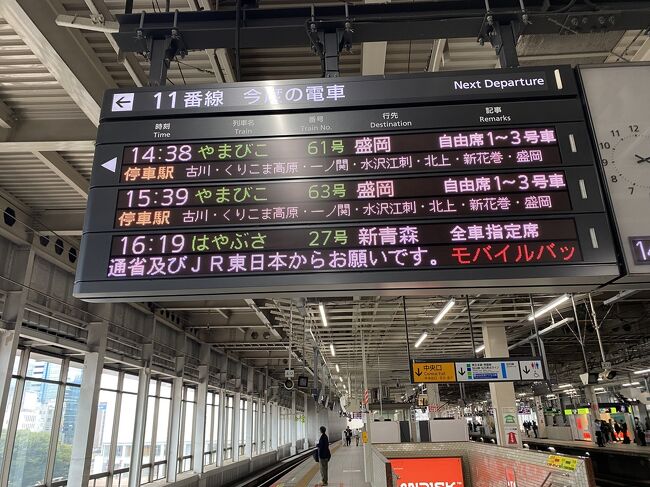 PM14:30JR仙台駅東北新幹線<br />改めてひとり旅再開です。今宵の宿へ向かいます。