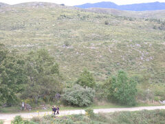 雄大なカルスト台地というふれこみでしたがちょっと肩透かしを食らったよう