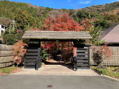 2日目は日帰り温泉の【箱根茶寮】に向かった。タオル類を持っていくと安上がりなのだが、そんなことは知らなかったので、4人で1万円弱。でも、紅葉が綺麗で、素晴らしい季節に来たなあ、と思う。