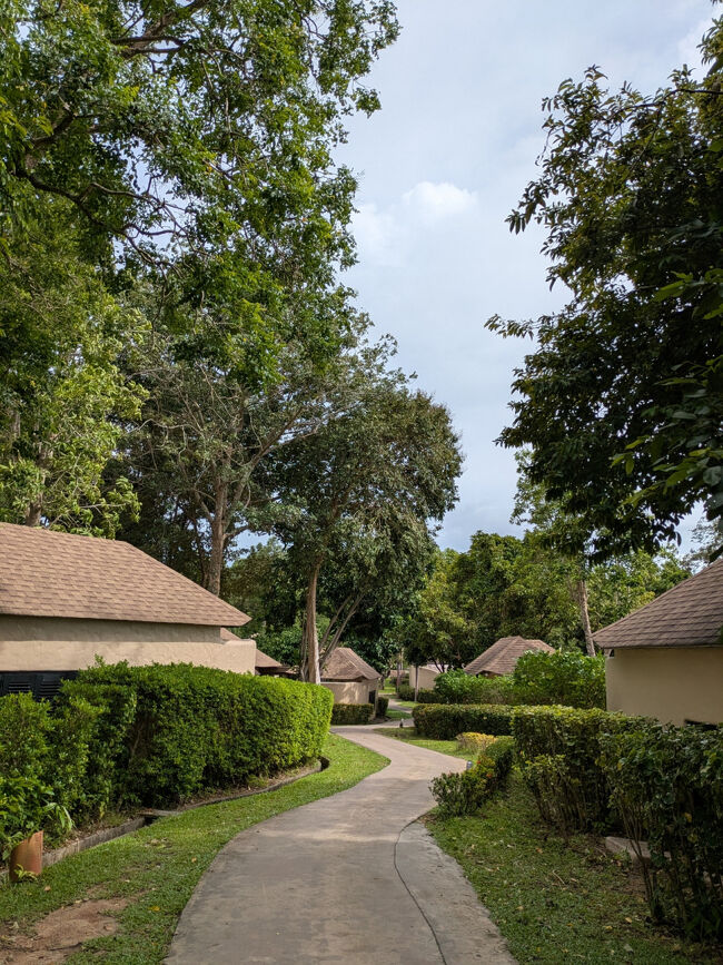 90のヴィラのうち、プライベートプールがあるのは約60室だそう。<br />どのヴィラも外からはほぼ見えない造り。